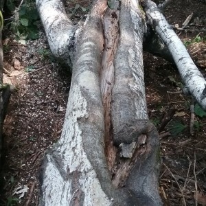 20170820_104644