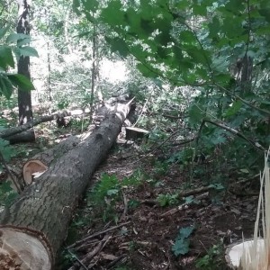 20170820_113142