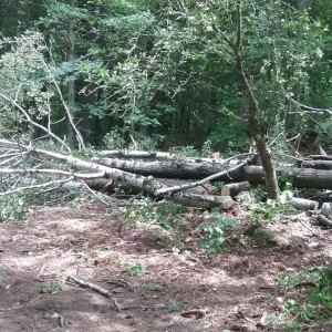20170820_113256