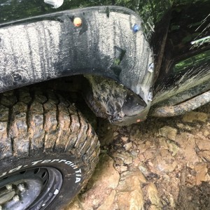Before Fix - Fender