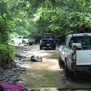 Creek Crossing