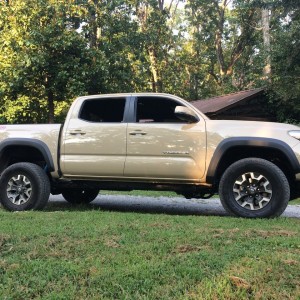 first day with the Tan Taco TuRD