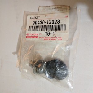 Drain Plug