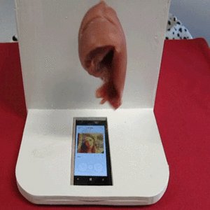 Giphy-2