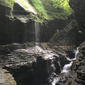 Watkins Glen NY