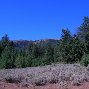 DSCN0644-1280