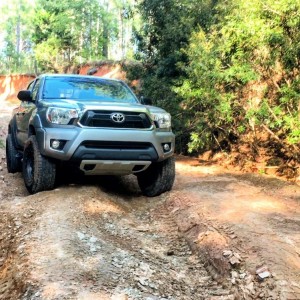 Trail Run