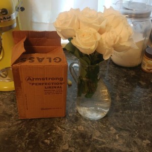 Urinal Vase