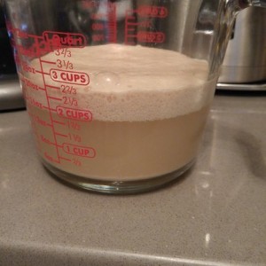 Starting some bread