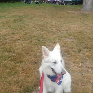 Barktoberfest 2017