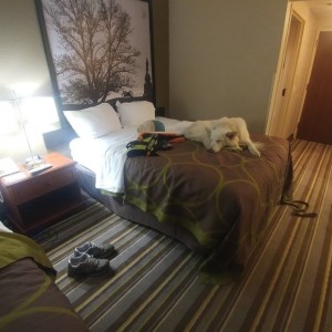 Super 8