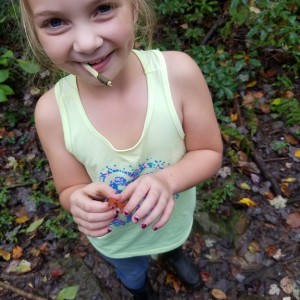 Took a hike with my oldest, she can't resist catching newts. And chewing on a black birch twig.