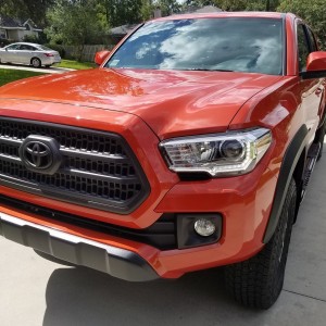 Plasti-Dip Grille 1