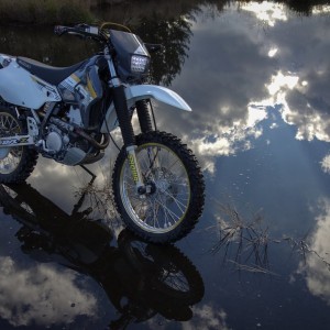 Reflections