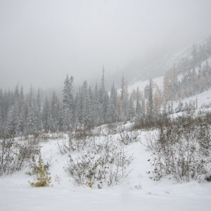 North Cascades