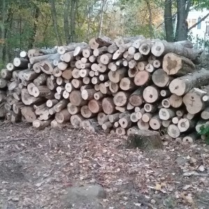 20171022_174942