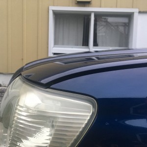 New Poly Rad mounts