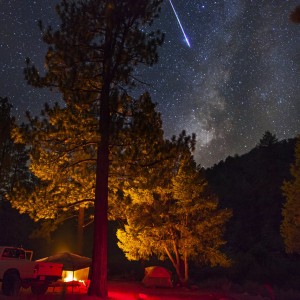 Kern Camp With The Cosmos