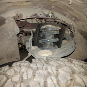 Passenger shocks