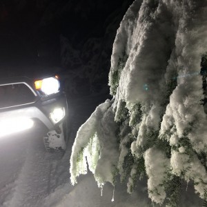 2013 Toyota Tacoma