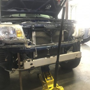 Energy Suspension Poly Bushings