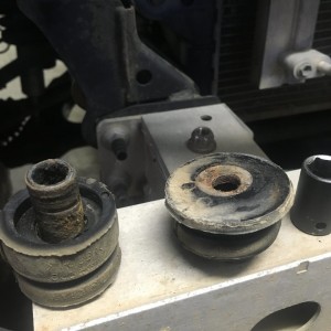 Energy Suspension Poly Bushings