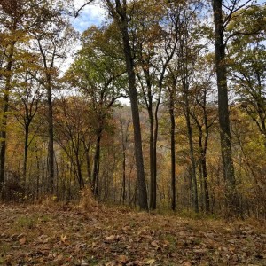 20171102_152034