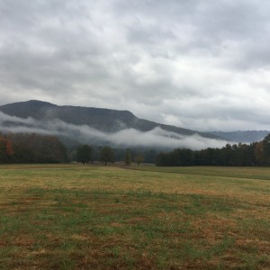 IMG_0511