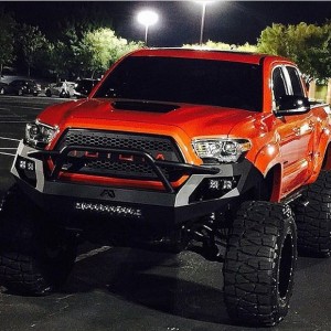 Monster_taco