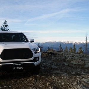 grille