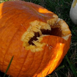 .357-1 pumpkin-0