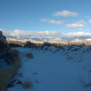 The morning dog walk trail got a dusting