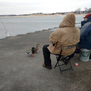 Pier fishing. These 4 just stared at each other for over an hour. I don't know who won the contest.