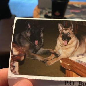 Torro & Trooper