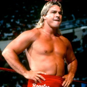 Terrytaylor