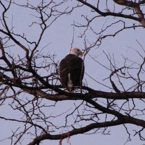 IMG_2537
