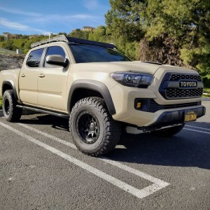 Latest Taco pic