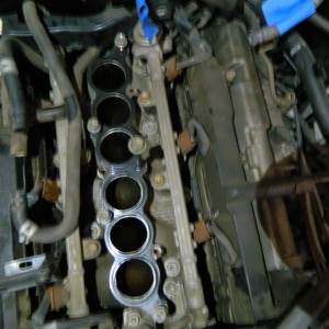 DSCN2907