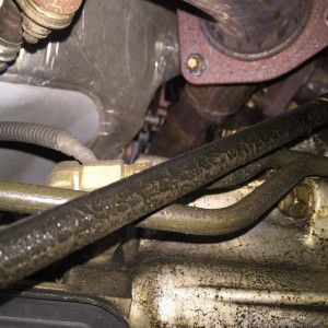 Coolant Leak Toyota
