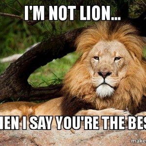Im-not-lion-navo4g