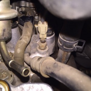 Rear Plug