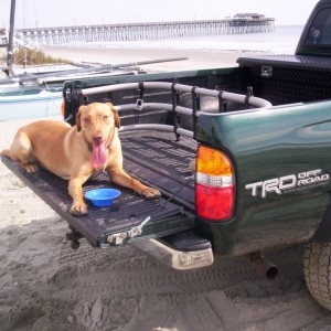 whats a truck without a dog in the back