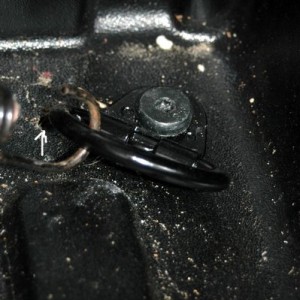 Extra D-ring