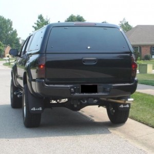 Tinted Tail Litghts