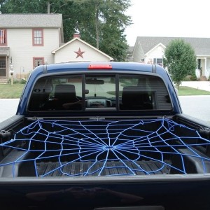 Spidey Bed Web