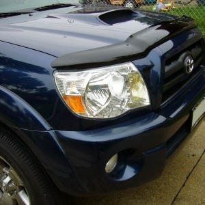 EGR Bugshield
