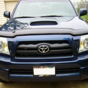 EGR Bugshield
