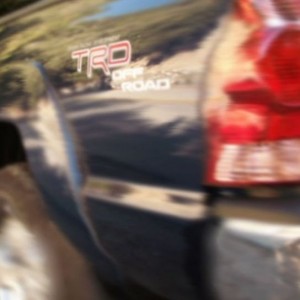 blurr4_copy