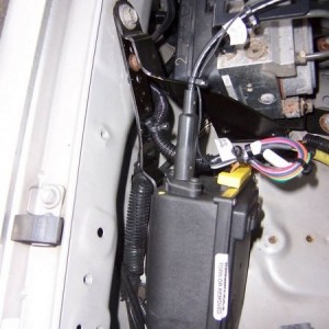 Cruise Module