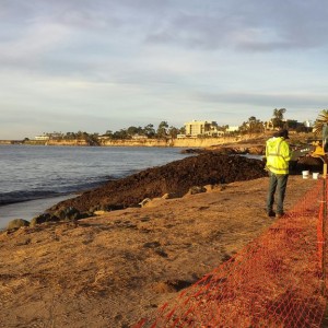 Mudslide cleanup being dumped on the beach. A full dump truck every 15 minutes. Not going to be safe to get back in the water for a long while now! :(